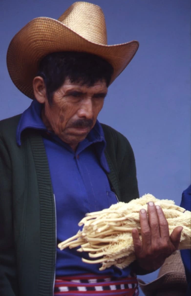 South America